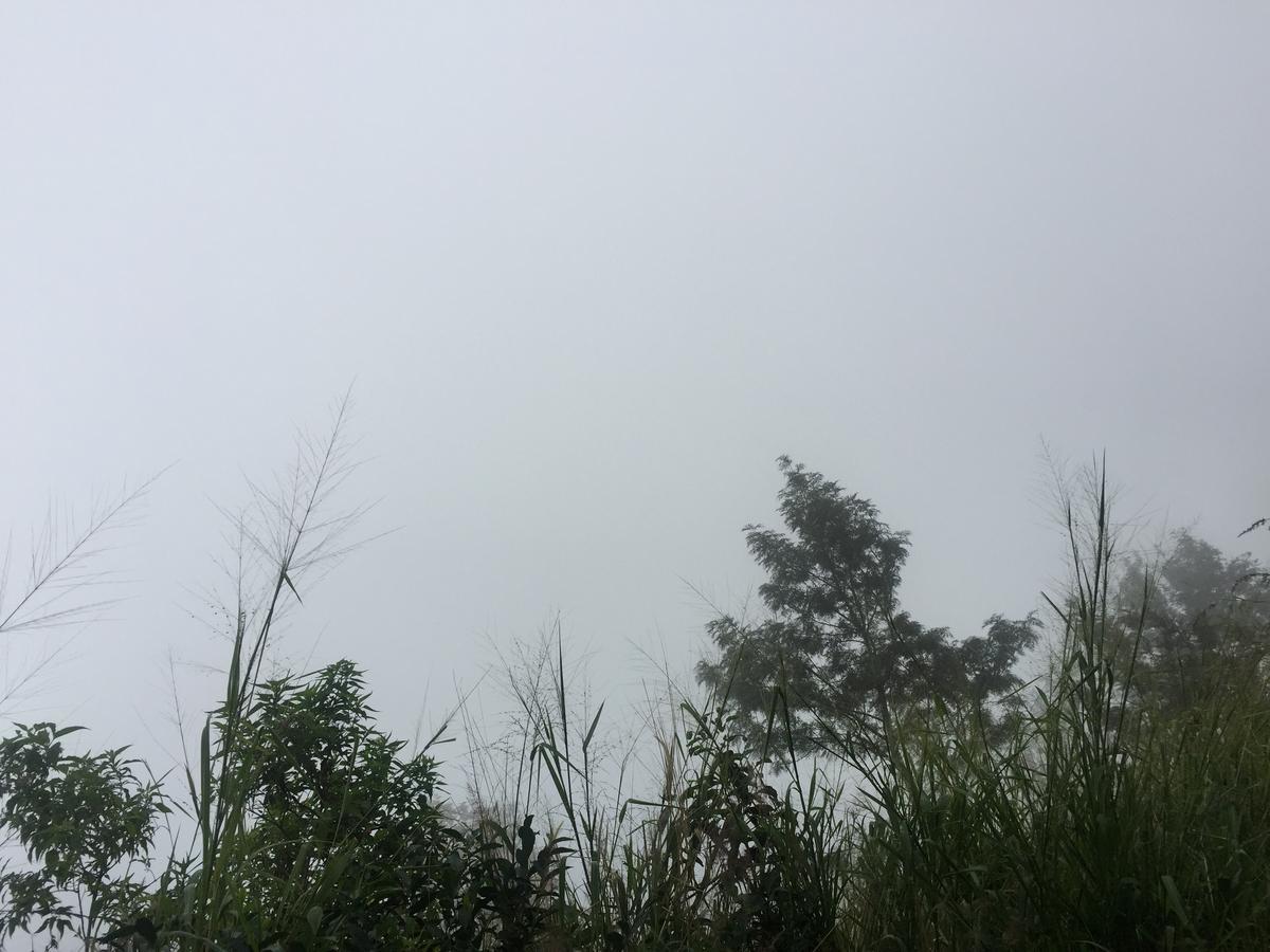 Orchid Villa 埃拉 外观 照片